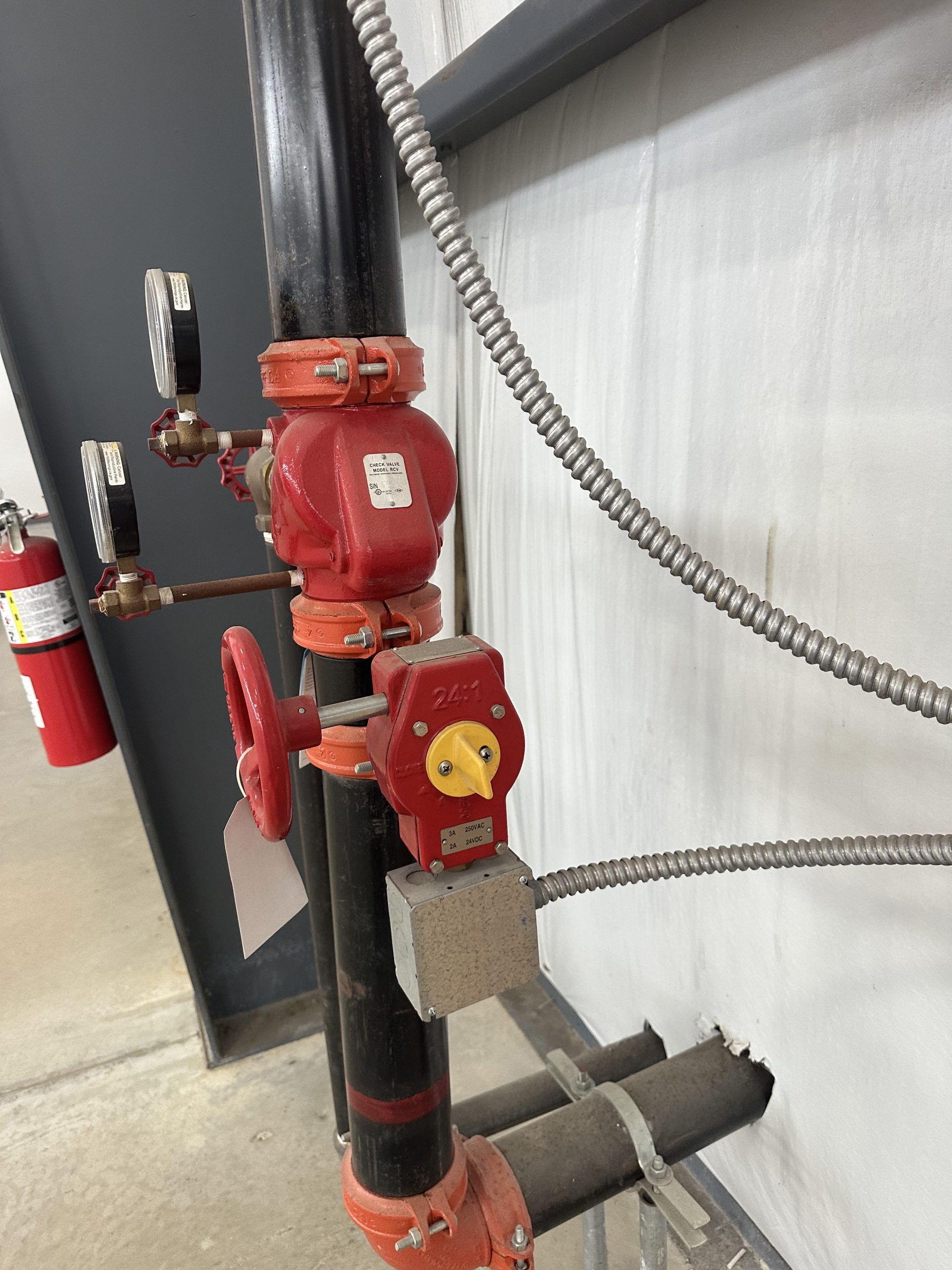 Flow Switch